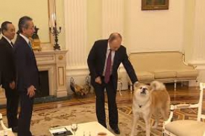 Появилось видео с облаявшей японских журналистов собакой Путина